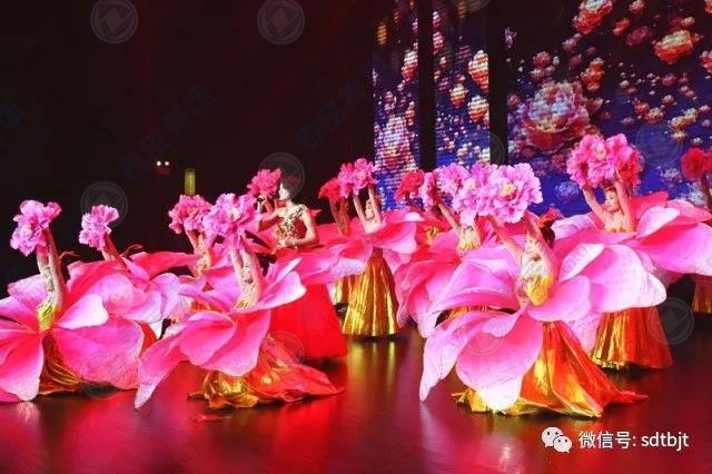 202012110843482 CMD368(中国区)体育有限公司官网