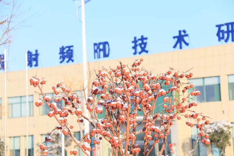 CMD368(中国区)体育有限公司官网